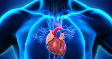 MDM and heart health