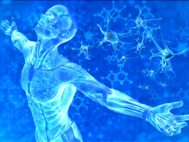 Muscular dystrophy and MRI