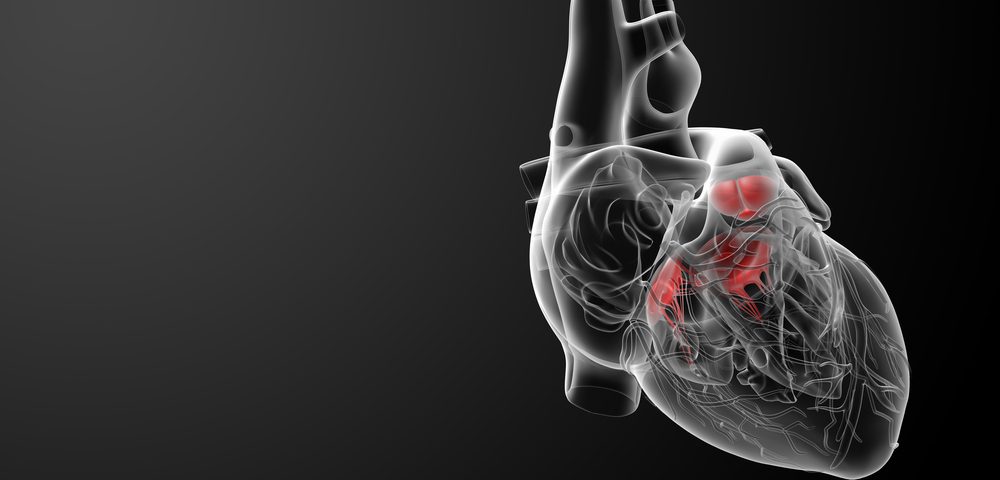 Defective RNA Processing Linked to Cardiac Problems Seen in Myotonic ...