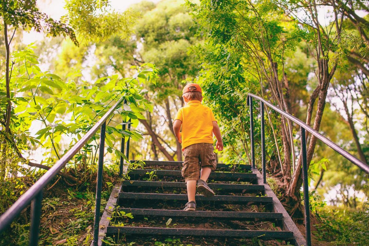 going-up-and-down-stairs-should-be-evaluated-every-9-12-months