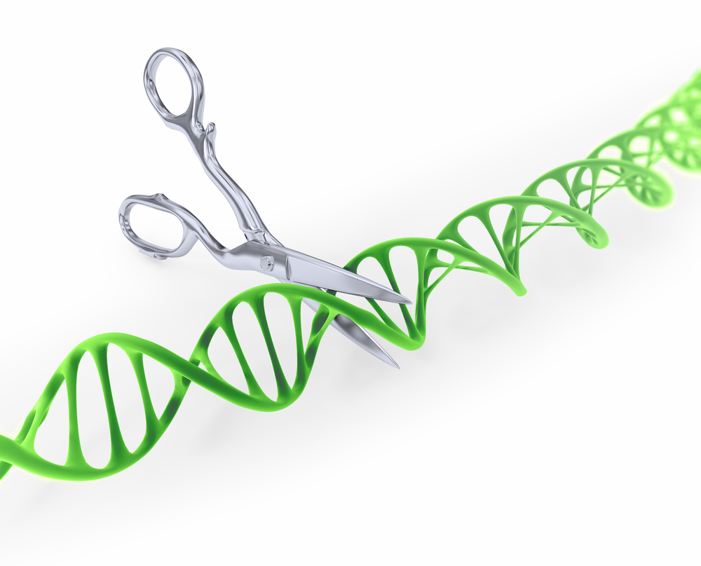 CRISPR-Cas9 gene-editing technique aids DMD therapy research.