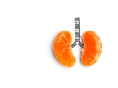 pulmonary function, hand-held device