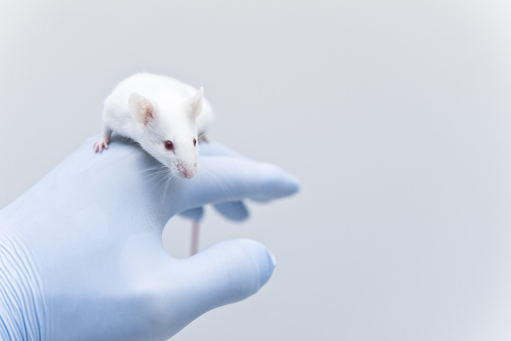 DMD Progression Slowed by BIIB100 in Animal Models, Study Shows