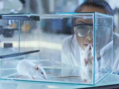 Celebrex and DMD study