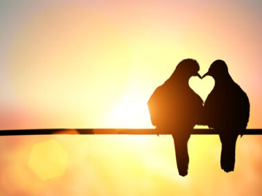 dating