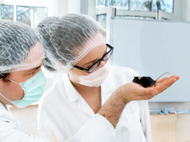 cell therapy