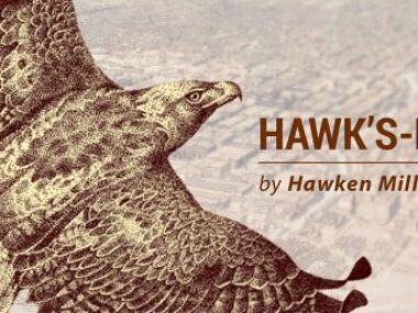 walk, inspiring, creativity, columns, Self-quarantine