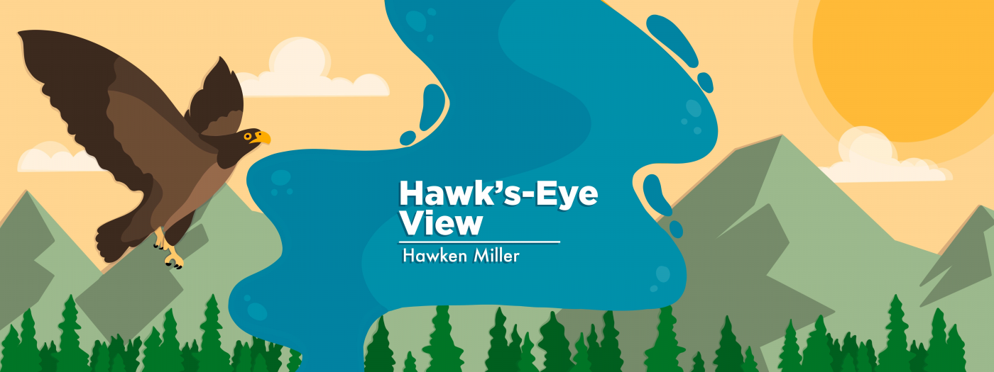 Hawk's-Eye View