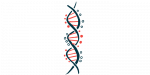 DNA strand illustration