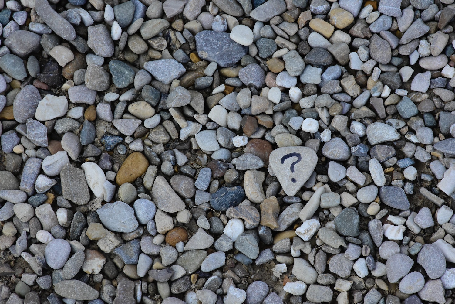 question / Muscular Dystrophy News / Photo of a bunch of small rocks. A gray one in the center has a question mark on it.