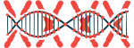 This illustration shows a closeup of a DNA strand against a background of red X's.