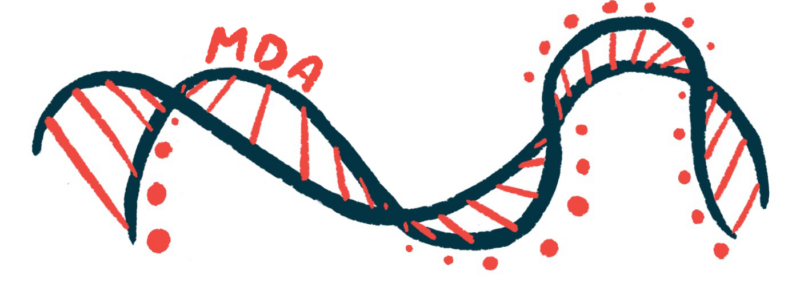 Illustration shows the abbreviation "MDA" atop a strand of DNA.