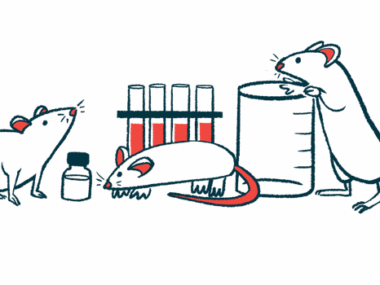 Mice inspect lab equipment.