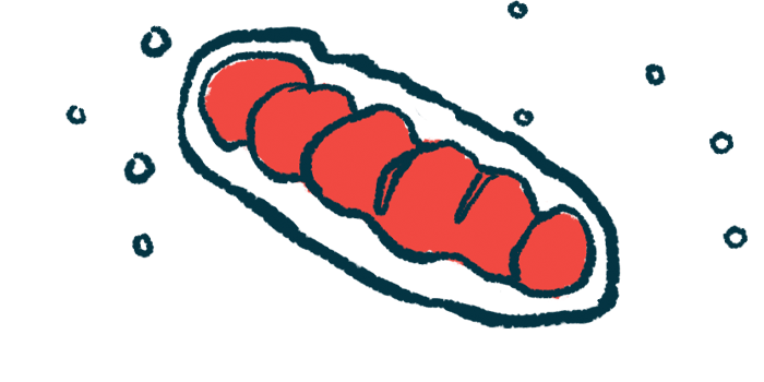 An illustration of mitochondria is shown.