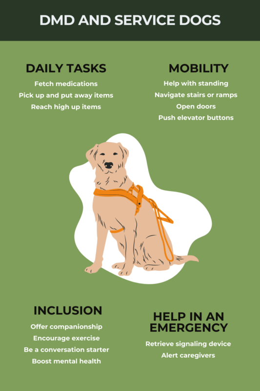 Service dogs for Duchenne muscular dystrophy