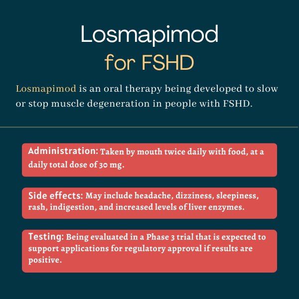 Losmapimod for FSHD