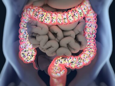 illustration of digestive symptom, including stomach and intestines