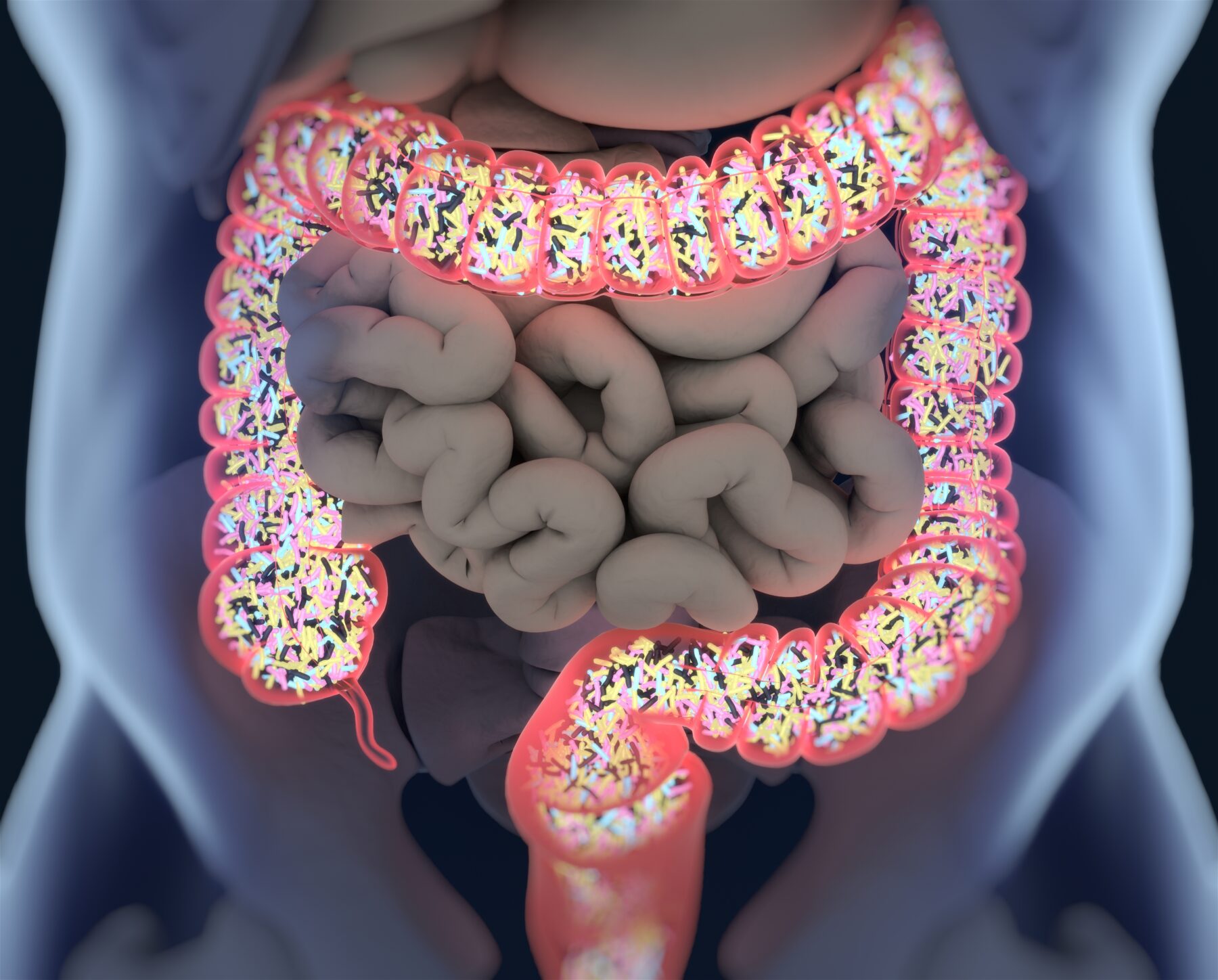 illustration of digestive symptom, including stomach and intestines