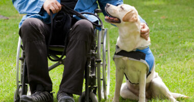 A person in a wheelchair with a service dog beside them on a lawn.