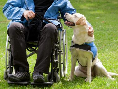 A person in a wheelchair with a service dog beside them on a lawn.