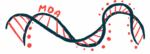 The letters MDA are shown atop an illustration of a strand of DNA.